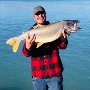 Meet your Posher, Kip